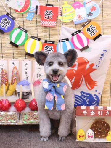 20240727シルヴァくん